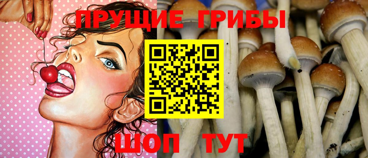 Галлюциногенные грибы Cubensis Озёрск